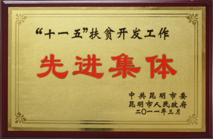 十一五扶貧開(kāi)發(fā)先進(jìn)集體 十一五扶貧開(kāi)發(fā)先進(jìn)集體