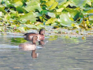 53831701277772310 53831701277772310