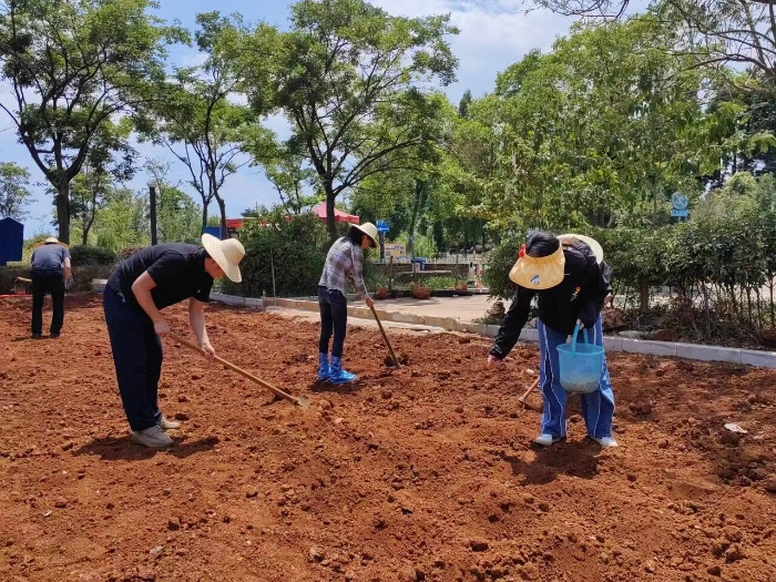 微信圖片_20240603145051 微信圖片_20240603145051